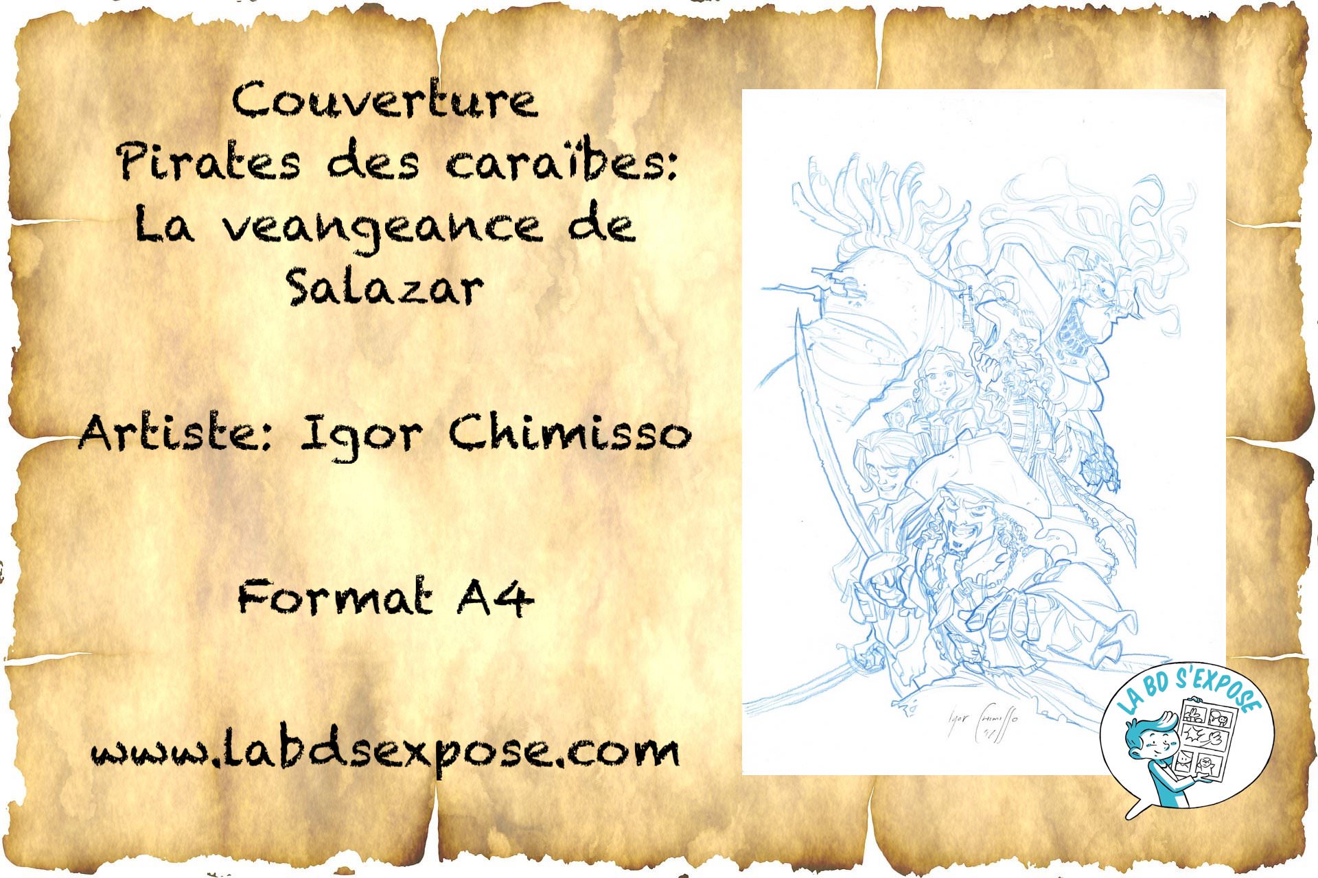 Reseaux Igor Chimisso Pirates des Caraibes