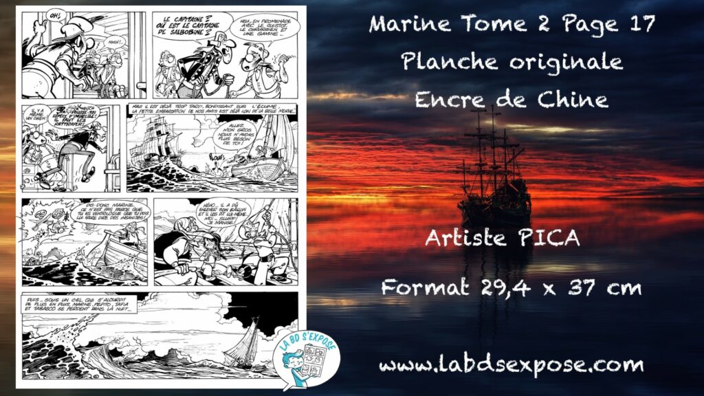 Réseaux Marine tome 2 p17 Pica