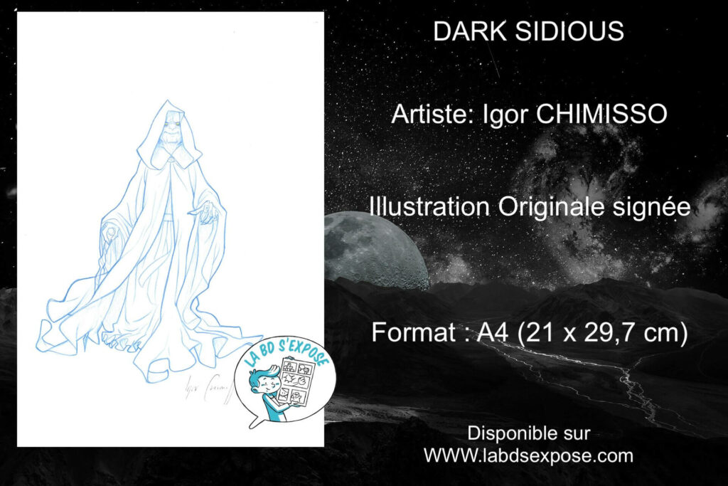 Réseaux Dark Sidious Igor Chimisso