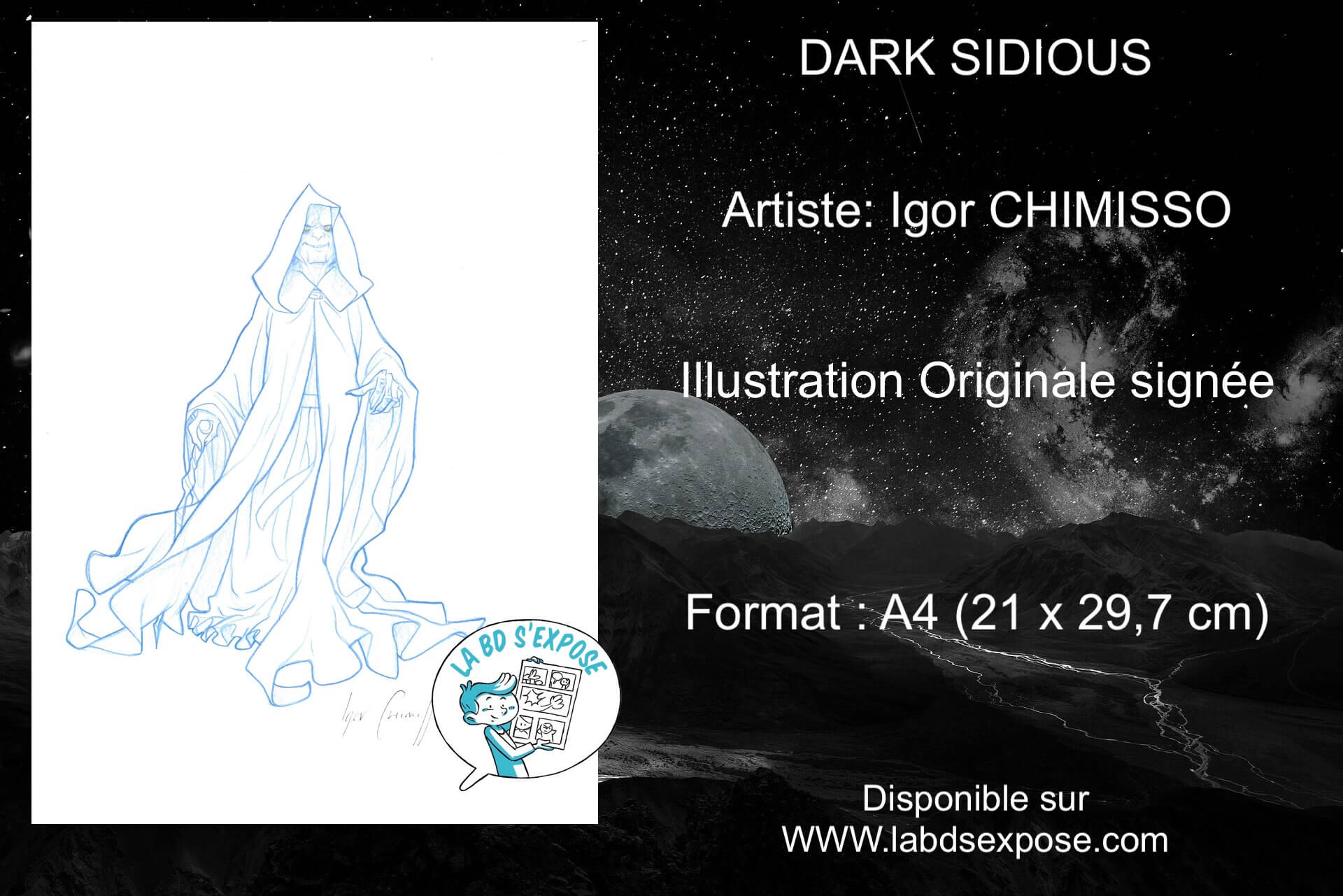 Réseaux Dark Sidious Igor Chimisso