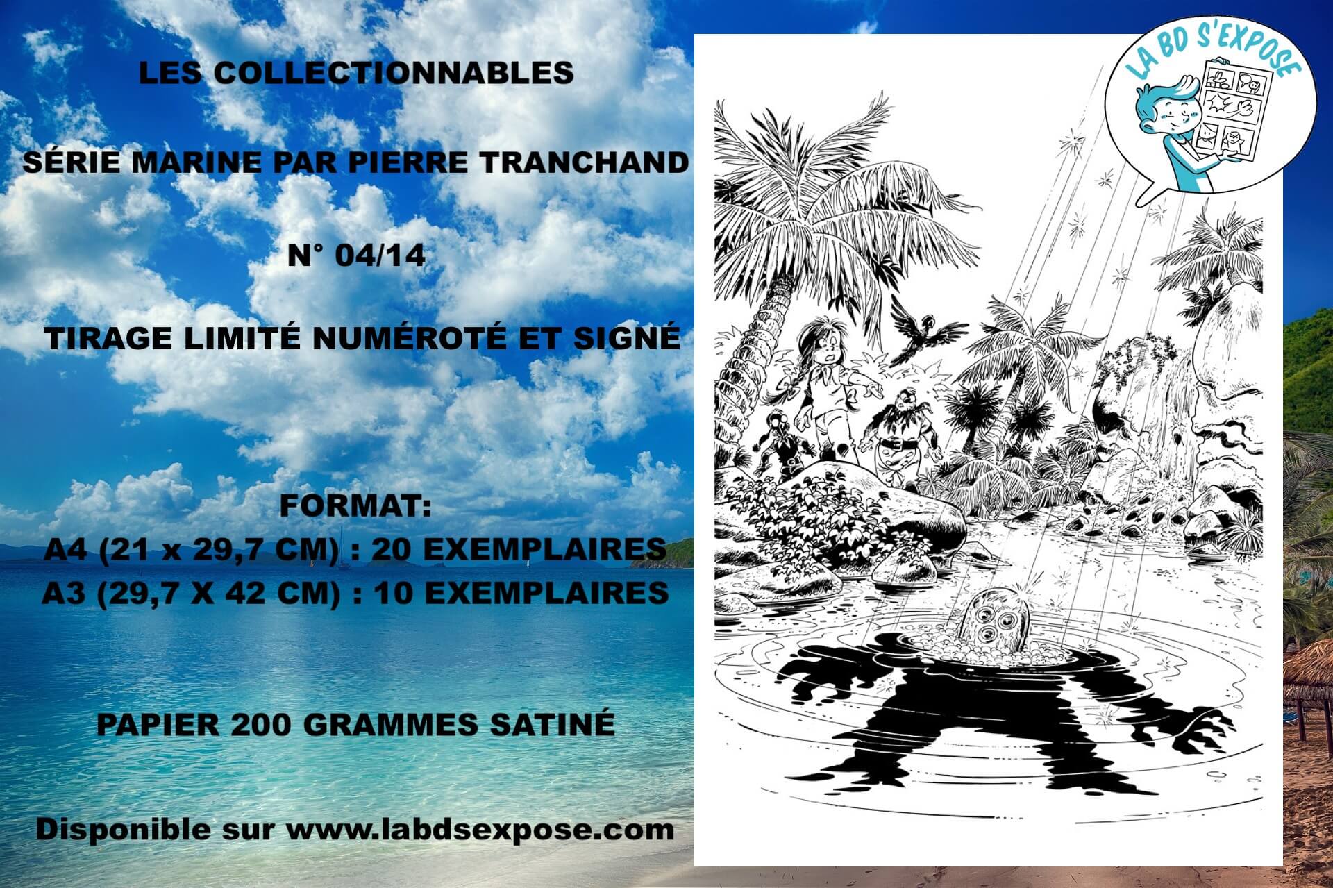Réseaux les collectionnables marine numéro 4 Pierre tranchand La BD s'expose