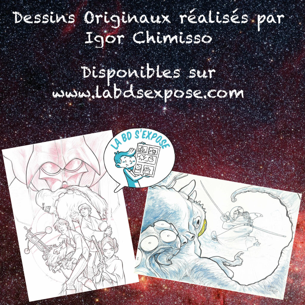 Reseaux Dessins Originaux Igor Chimisso La BD s'expose