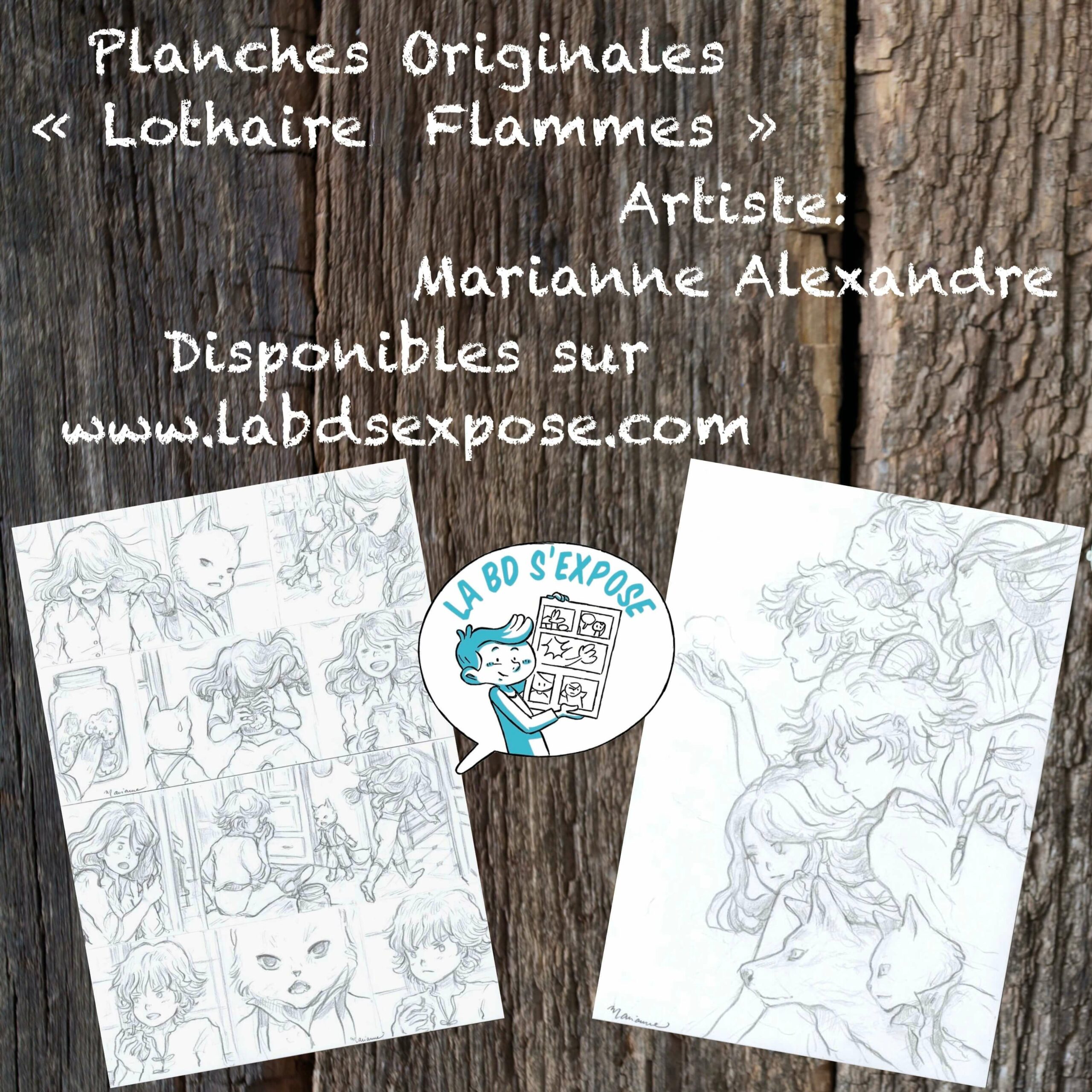 Reseaux Planche originale de bandes dessinees Lothaire Flammes Marianne Alexandre La BD s'expose