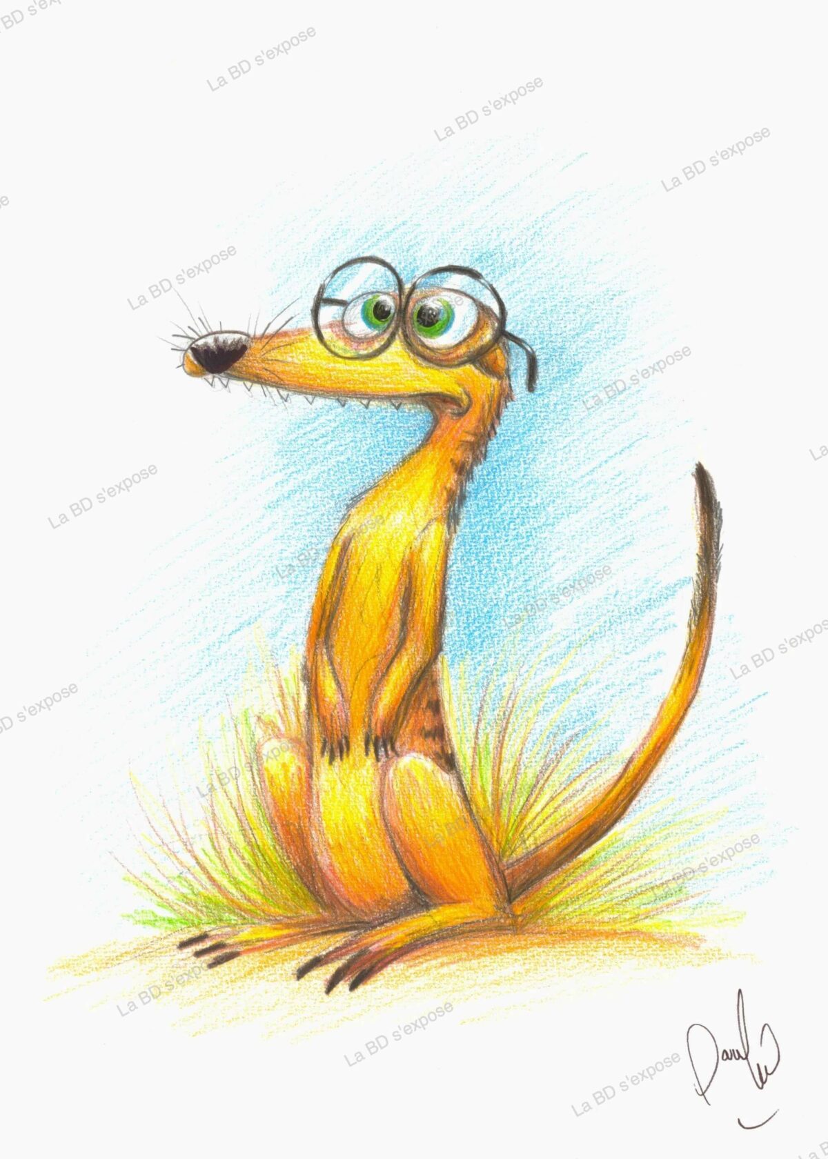 Suricate a lunettes Pauline Roland La BD s'expose