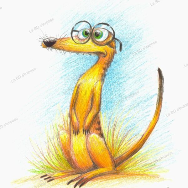 Suricate a lunettes Pauline Roland La BD s'expose