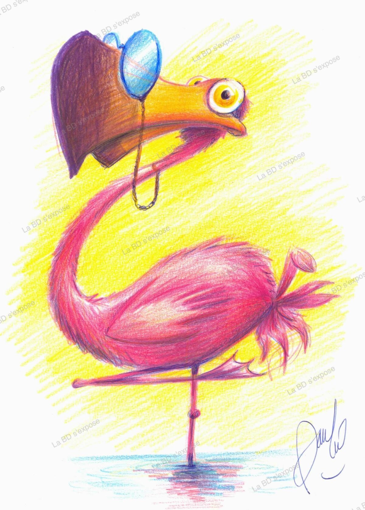 Flamand rose a lunettes Pauline Roland LA BD s'expose