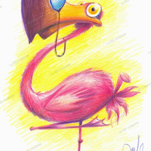 Flamand rose a lunettes Pauline Roland LA BD s'expose