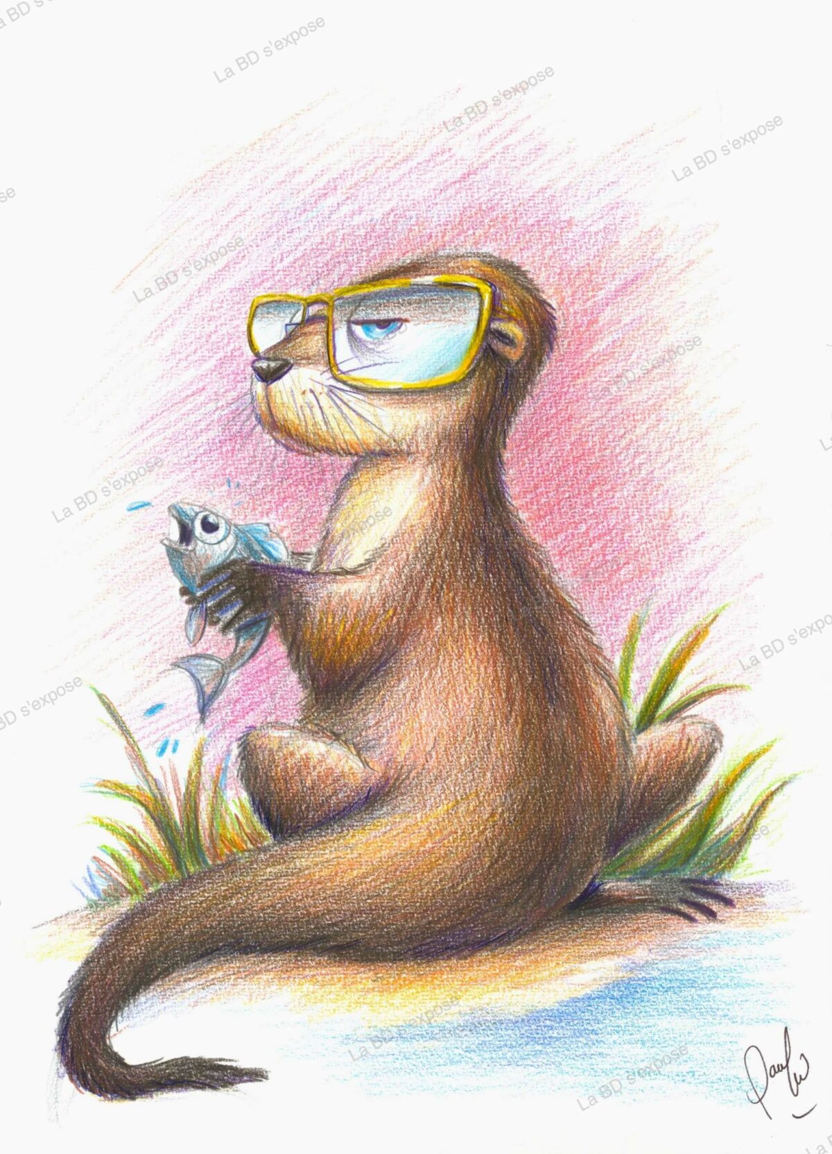 Loutre a lunettes Pauline Roland La BD s'expose