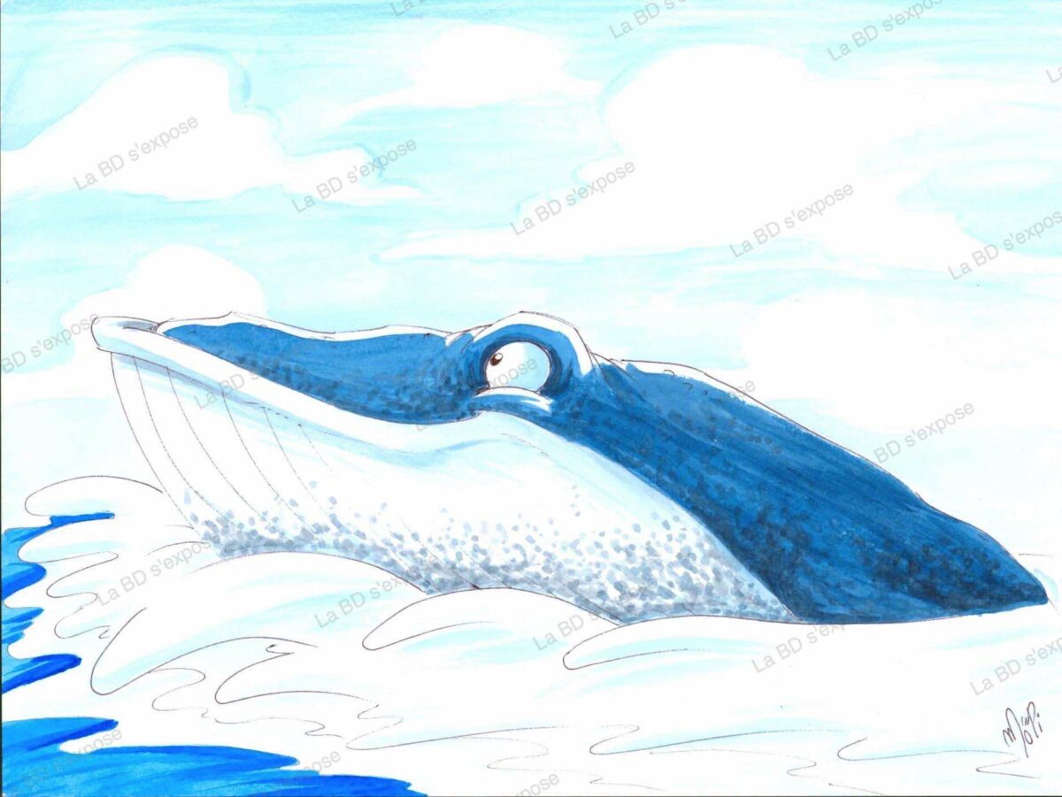 Dessin Original Baleine Bleue MoPi La BD sexpose