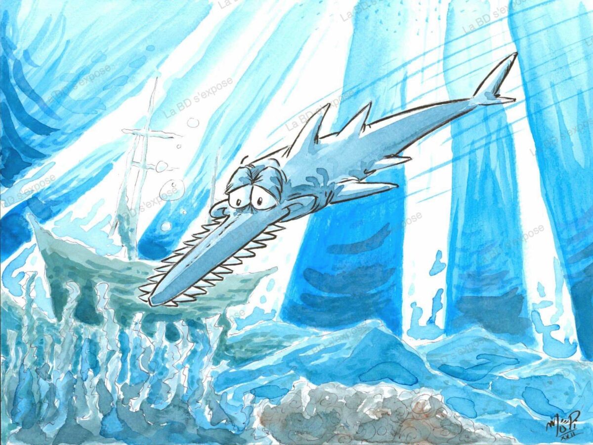 Dessin Original Requin Scie MoPi La BD sexpose